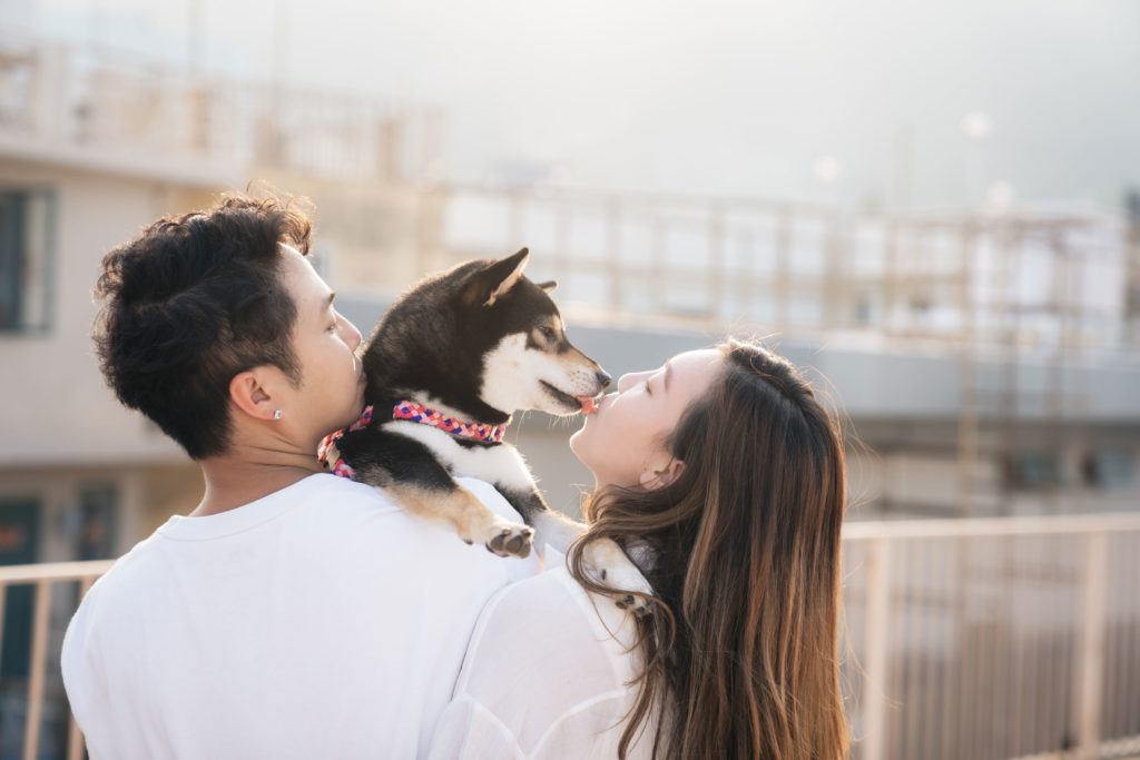 寵物攝影 ,狗狗攝影 ,情侶寵物攝影 ,畢業相 ,寵物拍攝 ,松鼠狗 ,寵物攝影邊間好 ,寵物攝影套餐 ,寵物攝影收費 ,上門寵物攝影 ,寵物影樓 ,寵物攝影師 ,寵物攝影邊間好 ,戶外寵物拍攝,貓攝影 ,貓拍攝 ,寵物攝影推薦 ,寵物婚紗攝影