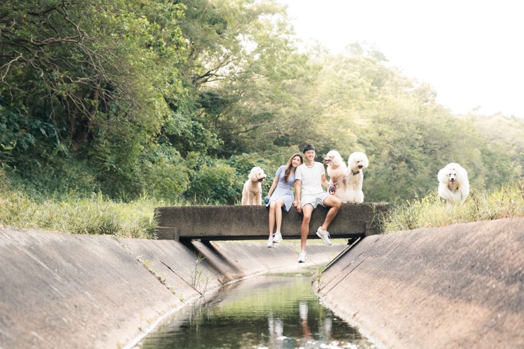 寵物攝影 ,狗狗攝影 ,情侶寵物攝影 ,畢業相 ,寵物拍攝 ,松鼠狗 ,寵物攝影邊間好 ,寵物攝影套餐 ,寵物攝影收費 ,上門寵物攝影 ,寵物影樓 ,寵物攝影師 ,寵物攝影邊間好 ,戶外寵物拍攝,貓攝影 ,貓拍攝 ,寵物攝影推薦 ,寵物婚紗攝影