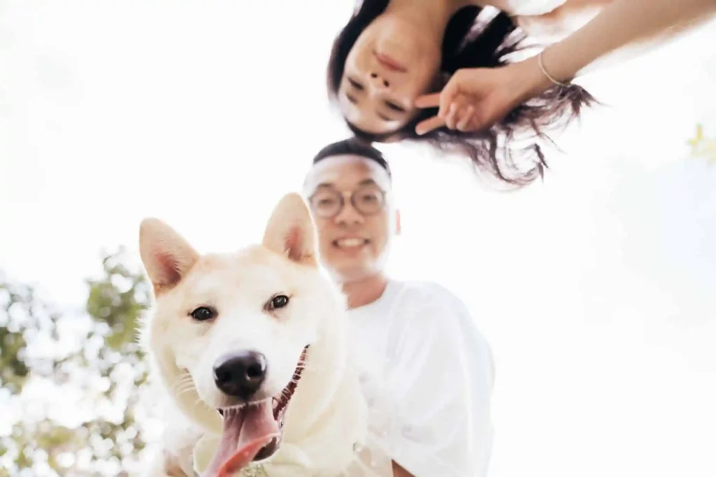 寵物攝影 ,狗狗攝影 ,情侶寵物攝影 ,畢業相 ,寵物拍攝 ,松鼠狗 ,寵物攝影邊間好 ,寵物攝影套餐 ,寵物攝影收費 ,上門寵物攝影 ,寵物影樓 ,寵物攝影師 ,寵物攝影邊間好 ,戶外寵物拍攝,貓攝影 ,貓拍攝 ,寵物攝影推薦