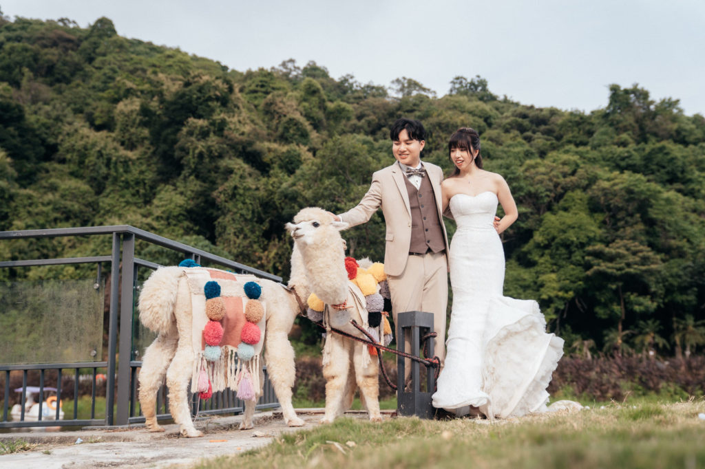 與寵物們的婚禮｜酒店出門｜馬哥孛羅香港酒店｜戶外證婚｜婚禮攝影