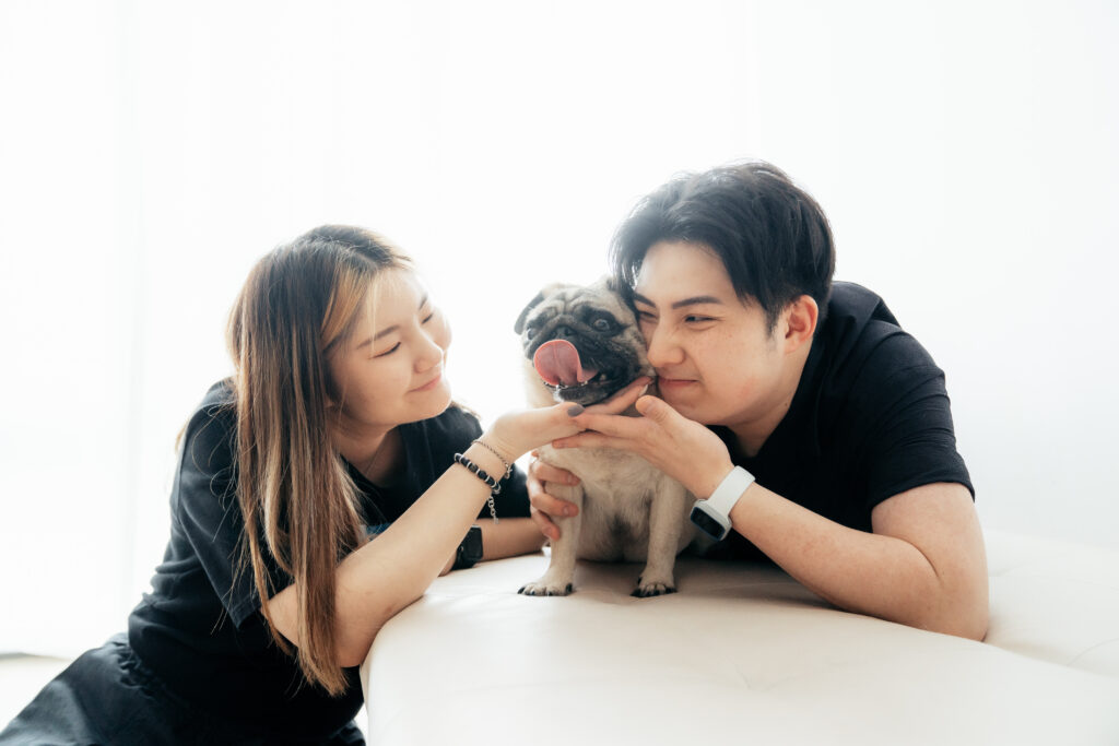 室內寵物攝影, 寵物攝影, 寵物拍攝, 畢業相, 寵物, 上門寵物攝影, 婚紗攝影, 婚禮拍攝, 寵物影樓, 戶外寵物拍攝, 貓攝影, 貓, 寵物生日派對, 寵物家庭攝影, 八哥, 八哥攝影, 老友狗狗, 家庭相